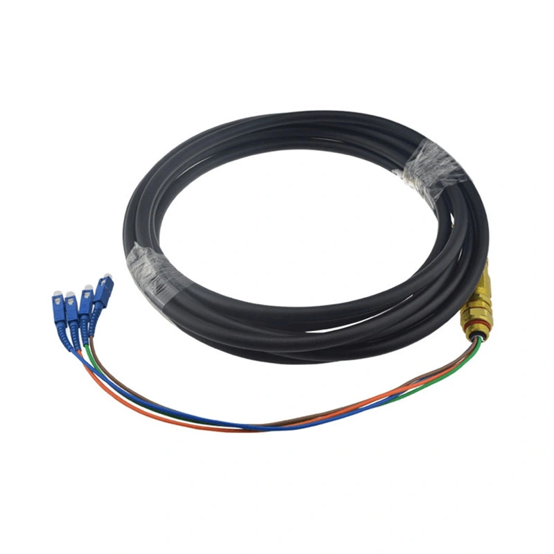 Fiber Patch Cord Jumper Cable Pigtail Sc/APC FC/APC Sc/Upc FC/Upc 2 4 Fibers Waterproof Black PE