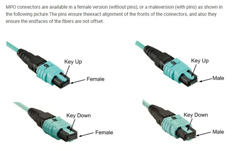 Network Single-Mode/Multi-Mode MPO MTP 0.9mm 2.0mm Optical Fiber Patch Cord Jumper Cable Us Conec MTP-Female or Male Connector